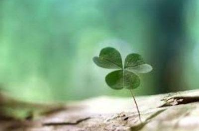 دور الاسرة فى العمل مع المجتمع