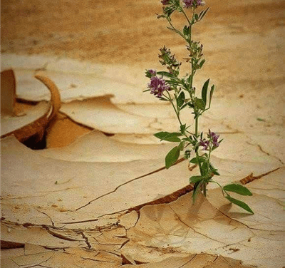 الأمل واليقين في مواجهة اليأس والقنوط