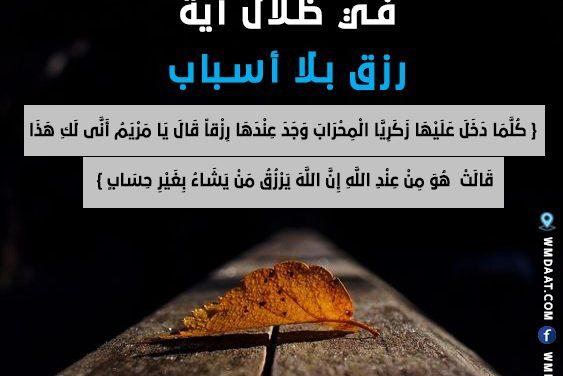 في ظلال آية