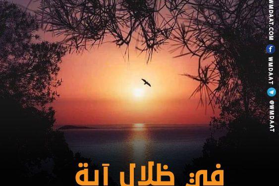 في ظلال آية